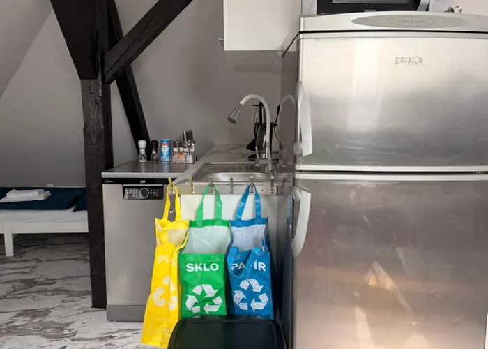 Apartment Loft With Parking *